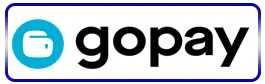 gopay - jetplane168