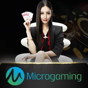 microgaming-casino - jetplane168