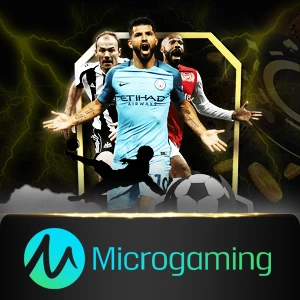 microgaming - jetplane168