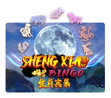 Sheng Xiao Bingo - TERRABET168