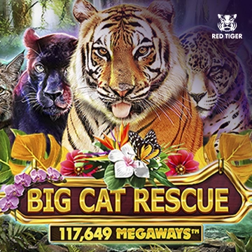 Big Cat Rescue Megaways - TERRABET168