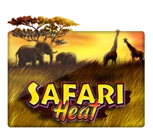 Safari Heat - TERRABET168