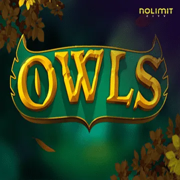 Owls - TERRABET168