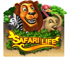Safari Life - TERRABET168
