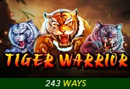 Spadegaming : Tiger Warrior - TERRABET168