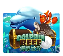Dolphin Reef - TERRABET168