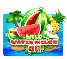 Wild Watermelon - TERRABET168