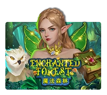 Enchanted Forest - TERRABET168