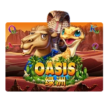 Oasis - TERRABET168
