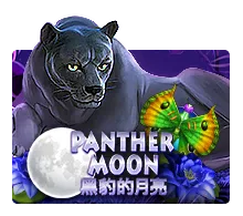 Panther Moon - TERRABET168